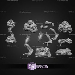 Rash Battletoads 212mm STL Files