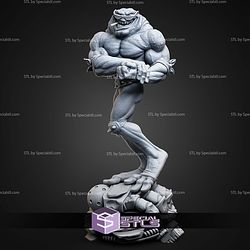 Rash Battletoads 212mm STL Files
