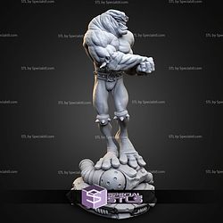 Rash Battletoads 212mm STL Files