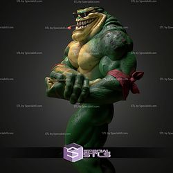 Rash Battletoads 212mm STL Files