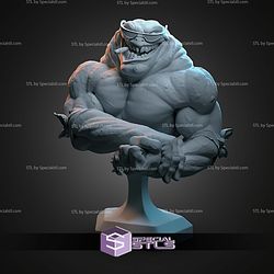 Rash Battletoads Bust STL Files