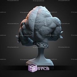 Rash Battletoads Bust STL Files
