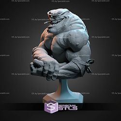 Rash Battletoads Bust STL Files