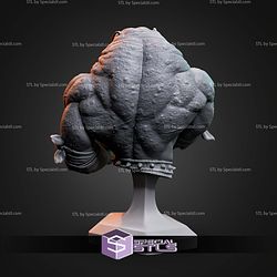 Rash Battletoads Bust STL Files