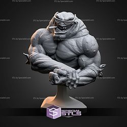 Rash Battletoads Bust STL Files