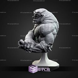 Rash Battletoads Bust STL Files