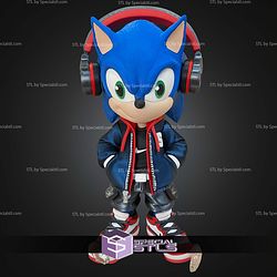 Sonic Urban Vibes No Ams STL Files