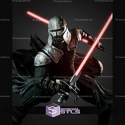 Starkiller in Battle 1-6 STL Files