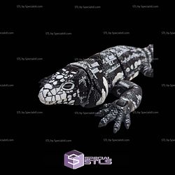 Super Basic STL Articulated Tegu Lizard