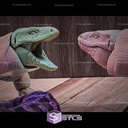Super Basic STL Articulated Tegu Lizard