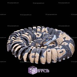 Super Basic STL Ball Python Realistic Flexi Snake