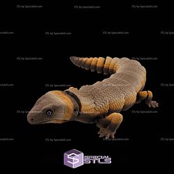 Super Basic STL Blue Tongue Skink Articulated Lizard
