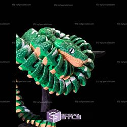 Super Basic STL Emerald Tree Boa