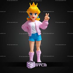 Super Basic STL Princess Peach Urban Vibes
