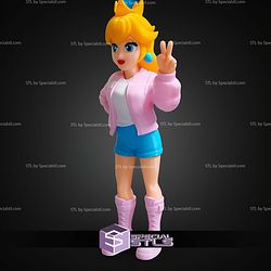 Super Basic STL Princess Peach Urban Vibes