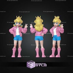 Super Basic STL Princess Peach Urban Vibes