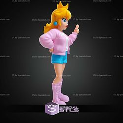 Super Basic STL Princess Peach Urban Vibes
