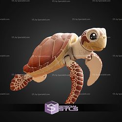 Super Basic STL Sea Turle Multicolor