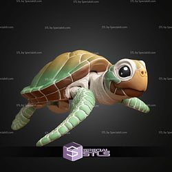 Super Basic STL Sea Turle Multicolor