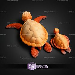 Super Basic STL Sea Turle Multicolor
