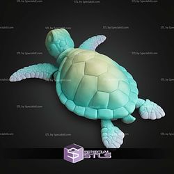 Super Basic STL Sea Turle Multicolor
