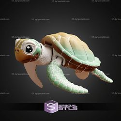 Super Basic STL Sea Turle Multicolor