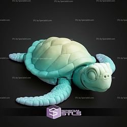 Super Basic STL Sea Turle Multicolor