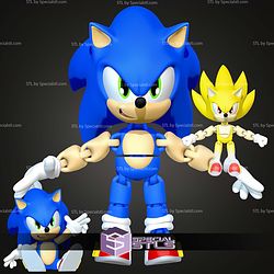 Super Basic STL Sonic the Hedgehog Sonic MultiColor