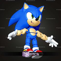 Super Basic STL Sonic the Hedgehog Sonic MultiColor