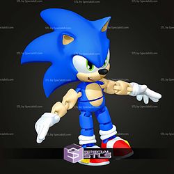 Super Basic STL Sonic the Hedgehog Sonic MultiColor