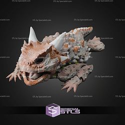 Super Basic STL Texas Horned Lizard