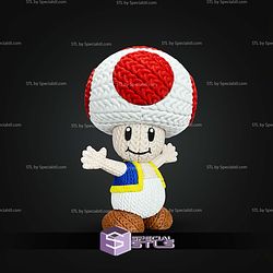 Super Basic STL Toad Knitted