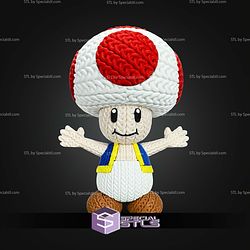 Super Basic STL Toad Knitted