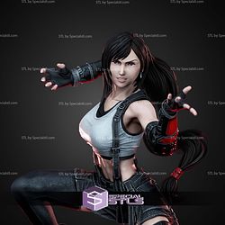 Tifa Seventh Heaven 1-6 STL Files