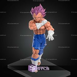 Vegeta Ultra Ego Dragon Ball Super Vol 24 STL Files