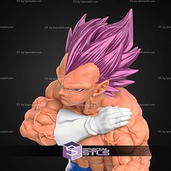 Vegeta Ultra Ego Dragon Ball Super Vol 24 STL Files