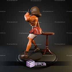 Velma Magnifying Glass STL Files