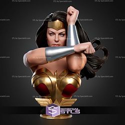 Wonder Woman Kingdom Come Portrait Bust 325mm STL Files