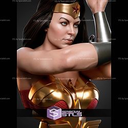 Wonder Woman Kingdom Come Portrait Bust 325mm STL Files