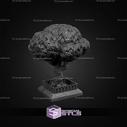 February 2026 C27 Collectibles Miniatures