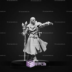 March 2026 Set 147 - Magical Library Epic Miniatures