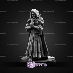 March 2026 The Printing Goes Ever On Miniatures