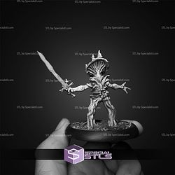 March 2026 Warp Miniatures