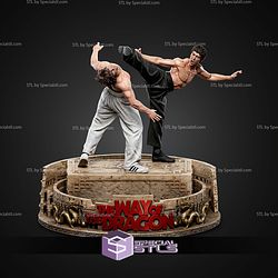 Chuck Norris vs Bruce Lee STL Files