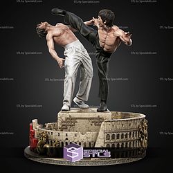 Chuck Norris vs Bruce Lee Bundle STL Files