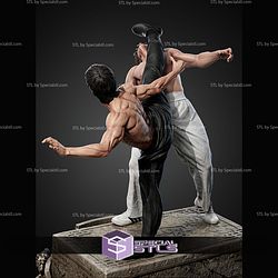 Chuck Norris vs Bruce Lee Bundle STL Files