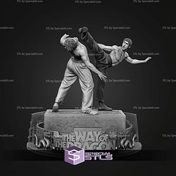 Chuck Norris vs Bruce Lee Bundle STL Files