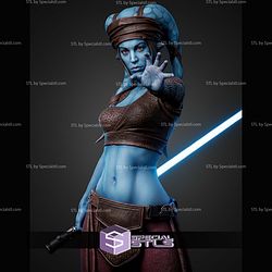Aayla Secura 430mm STL Files