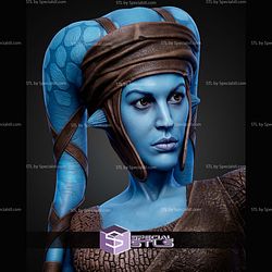 Aayla Secura 430mm STL Files