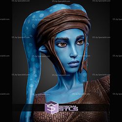 Aayla Secura 430mm STL Files